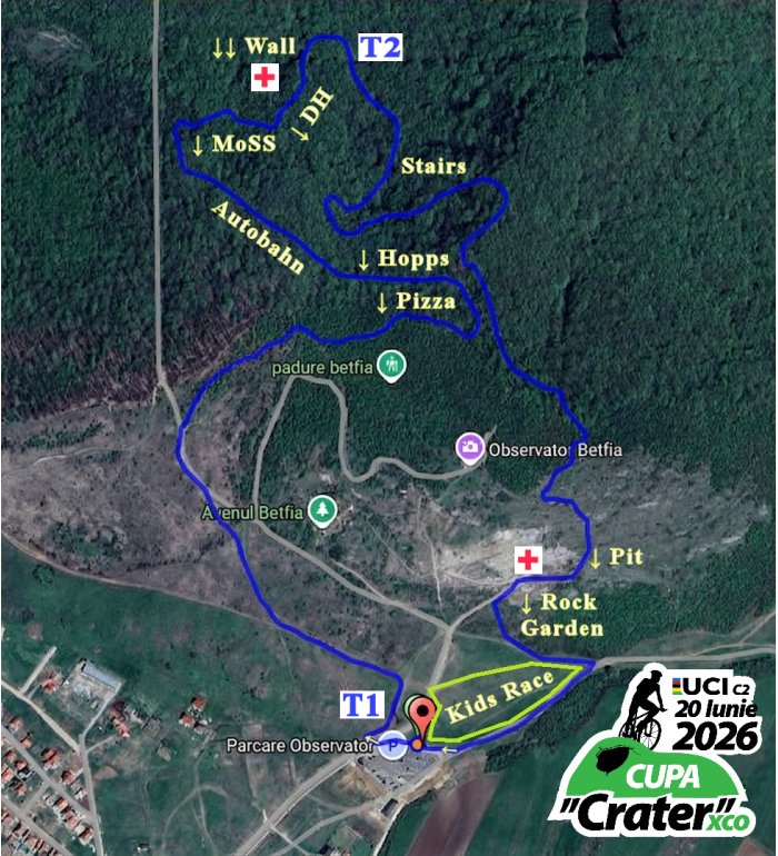 XCO%20Harta%20Logo XCO%20Harta%20Logo